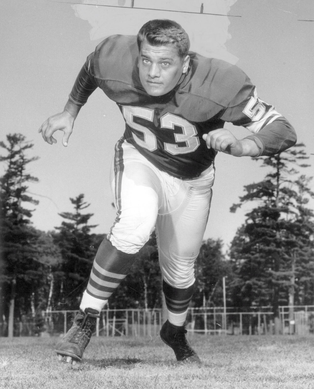Mick Tingelhoff